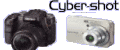 �T�C�o�[�V���b�g